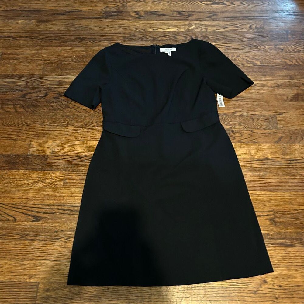 New Lark and Ro Dress